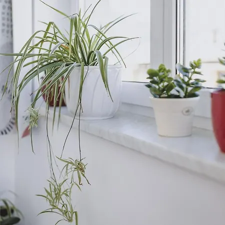 Apartment Sulzer By We Rent *