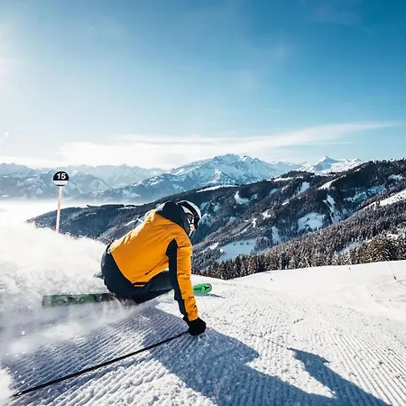 Sulzer By We Rent, Summercard Included Apartmán Zell am See