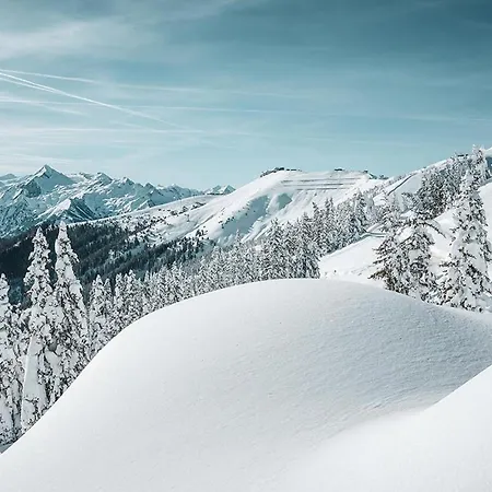 Apartmán Sulzer By We Rent, Summercard Included